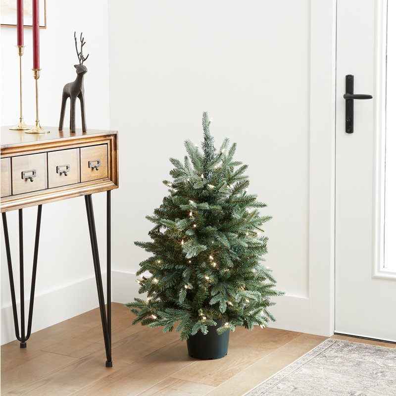 3ft. Everyday Collection Potted Evergreen Tree with Clear Lights