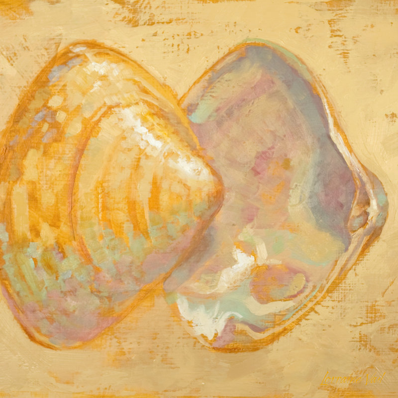 Shoreline Shells II - Wrapped Canvas Painting, 30cm H x 30cm W x 3.8cm D