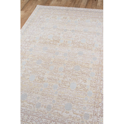 Vierzon Oriental Indoor Rug