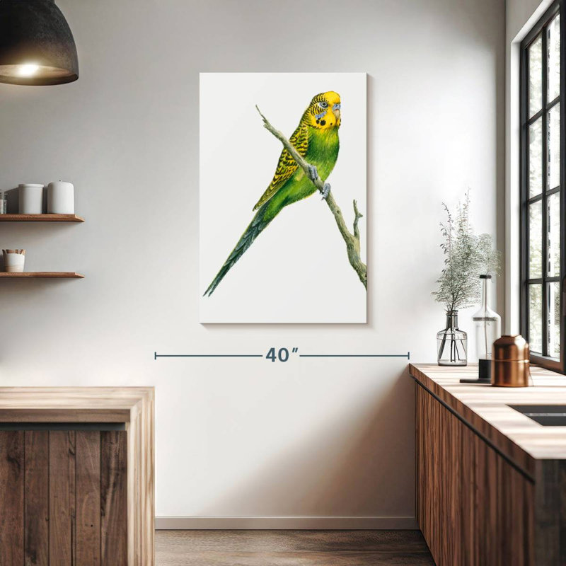 Brampt Perched Budgerigar, 39" H x 26" W