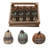  Resin 5.75 in. Multicolor Harvest Sentiment Pumpkins with Crate Set of 12