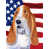 Basset hound 5