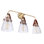 Fransen 3 - Light Dimmable Vanity Light