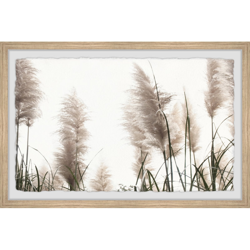 Feathered Grass - Single Picture Frame Painting, 41 cm H x 61 cm W
