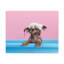 Drôle de Yorkshire terrier Bathee, art mural sur toile-757207470