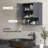 Damyla Wall Mounted Medicine Cabinet with Open Shelf & Adjustable Shelf-569038615