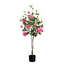 4 pi Rosier artificiel