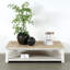 Table basse avec rangement en bois massif Amalfi-53308272-53308271