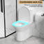 Toilette une pièce l 17 po ADA