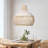 Arnoldus 1 - Light Natural Dome Pendant-1932077924