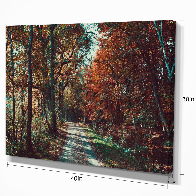 Autumn Road Through Forest Landscape Canvas Print, 40x30