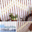 Noam Bamboo Semi Sheer Curtain Single Panel