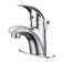 Nita Vantage Collection Single-Handle Lavatory Faucet