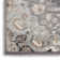 Biarni Oriental Indoor Rug