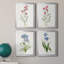 Delicate Pink I - ensemble de 4 peintures sur toile encadrées-379458574-379458573