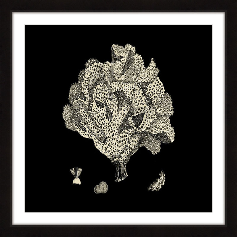 «Black & Tan Coral IV», reproduction encadrée, H 24 po x l 24 po x P 1,5 po