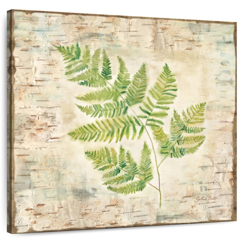 Harnek Birch Bark Ferns II, 36" H x 36" W