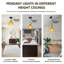 Luminaire suspendu Mid-Century-171012186-192552341