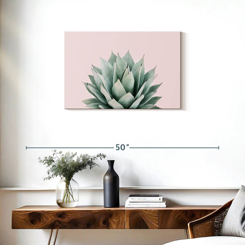 Agave Harnek Blush, H 20 po x l 30 po