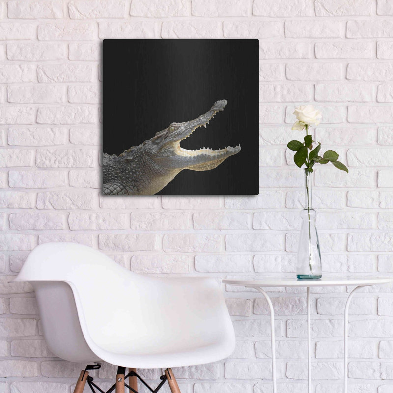 «Gator Games», art mural en métal, 36 po x 36 po, H 24 po x l 24 po