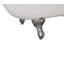 Baignoire de trempage sur pattes 66 "Streamline-50896923-84364056