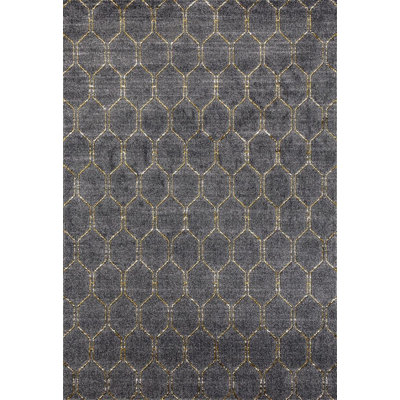 Inamae Geometric Indoor Rug