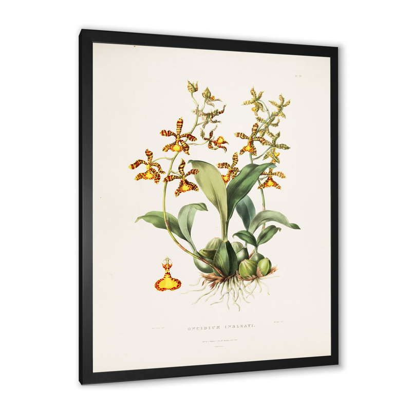 Fleur rétro I - peinture sur toile, H 20 po x l 12 po x P 1po, Cadre photo noir