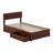 Lamecia Platform Bed with Panel Footboard and Storage Drawers-1845808022-1845808023