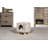 Bojorquez 13.5'' H Cat Tree