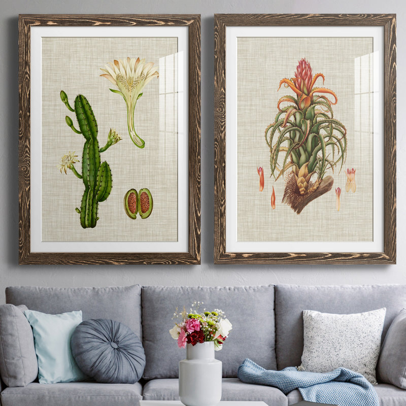 Elegant Tropicals III - impression d'art graphique, Papier, cadre noyer, H 37,5 po x l 55 po x P 1,5 po, Blanc
