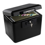 SentrySafe 0.61 Cu. Ft. Fireproof Hanging File Safe