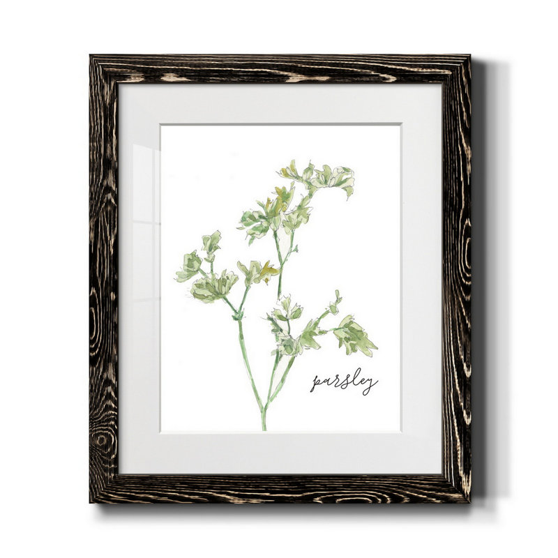Fresh Sprig Parsley - cadre photo, reproduction d'art sur papier, H 20 po x l 17 po x P 1,5 po, Noir