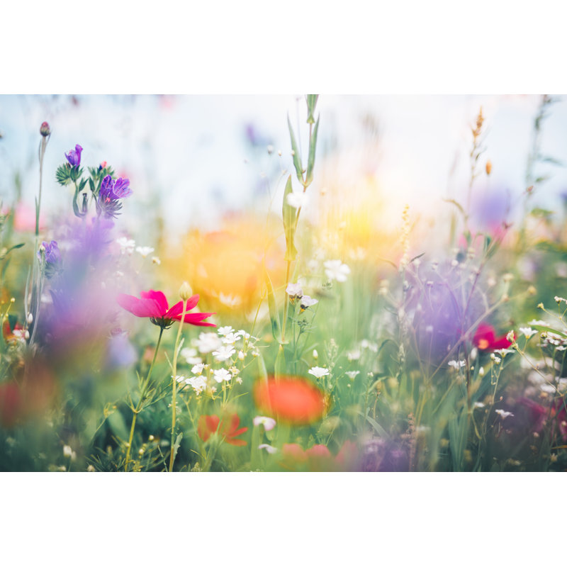 Colourful Meadow 1 Piece Wall Art on Canvas, 61cm H x 91cm W