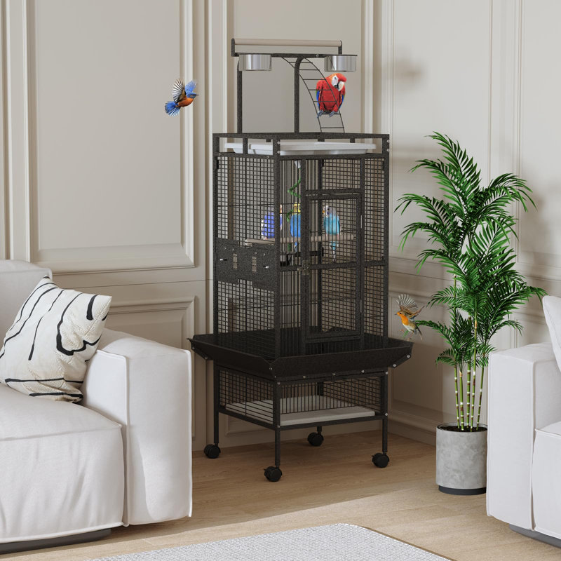 Bird Cage, Black