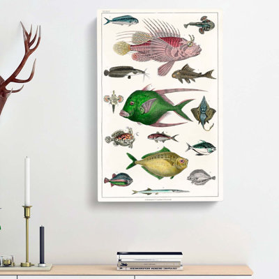Various Fishes XXXIII by Oliver Goldsmith - Wrapped Canvas Painting
