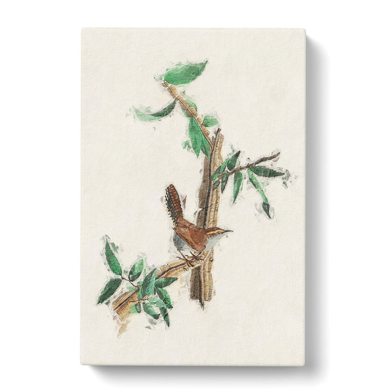 Bewicks Wren by John Audubon - Wrapped Canvas, 60cm H x 40cm W x 3cm D
