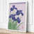 White Border