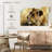 Brampt Lioness Study-108026685
