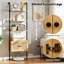 184 cm H x 60 cm W Ladder Bookcase