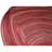 Flatweave Indoor Rug