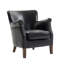 Puttney Armchair-124434377