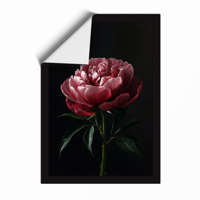 Luminous Peony Botanical - Framed Print