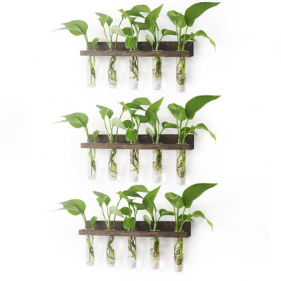 Wall Hanging Plant Terrarium with Wooden Stand