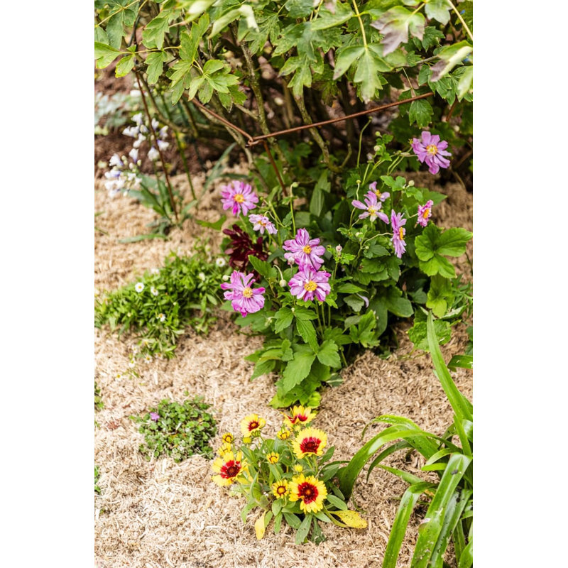Plant Stand, x8
