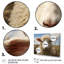 Sheep Portrait II - Animals Wall Art Living Room-1181565928-1181565929