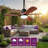 34" Solid Wood Outdoor Ceiling Fan with Remote, Damp Rated Patio Gazebo Fan with 16ft Plug-in Cord & Hardwire Option, Dimmable Light with Memory Function