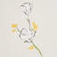 Alex's Floral Wallpaper-1873919002