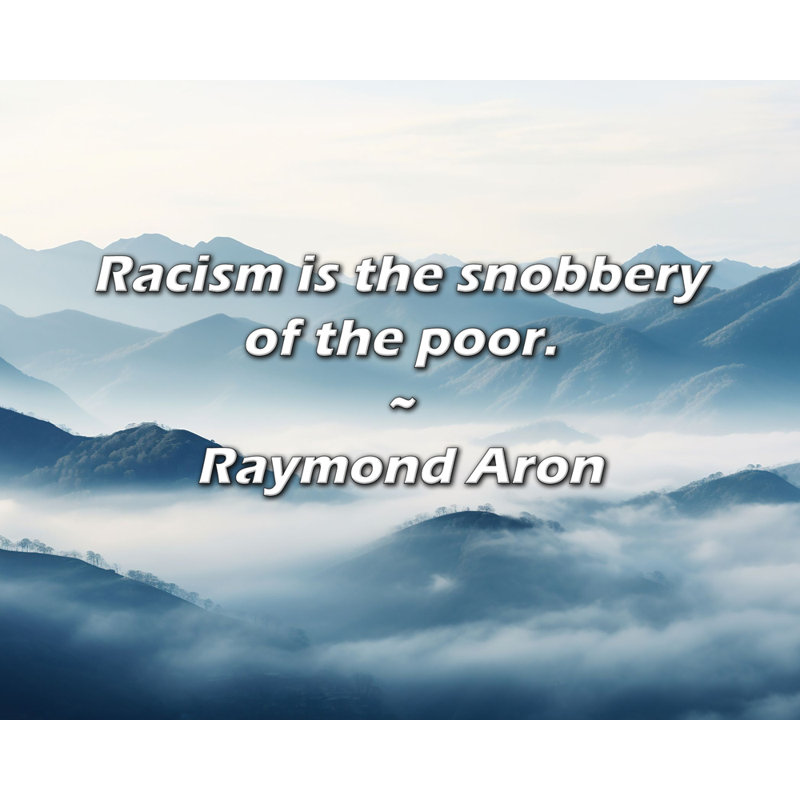 Raymond Aron Quote: Racism is the snobbery of the poor.
