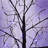3 Pac Halloween Spooky Tree Set