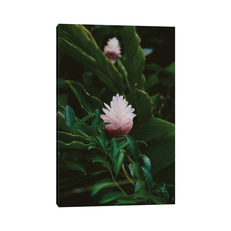 Tropical Hawaii IX by Bethany Young - Print on Canvas, 152.4cm H x 101.6cm W x 3.81cm D, Wrapped Canvas